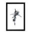 Shark III by Alexis Marcou - Print on Canvas-49988138-56678131