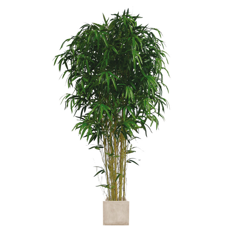 150cm Bamboo Tree in Planter