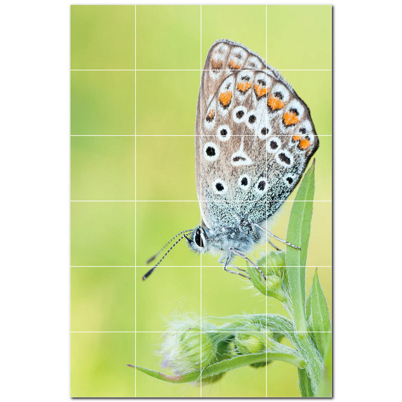 Murale en céramique satinée Butterfly Photo 4,25 po x 4,25 po