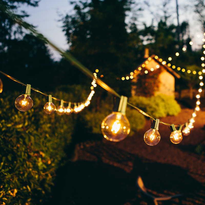 Renfro Outdoor 25 - Bulb 25'' Plug-in Globe String Light, Green