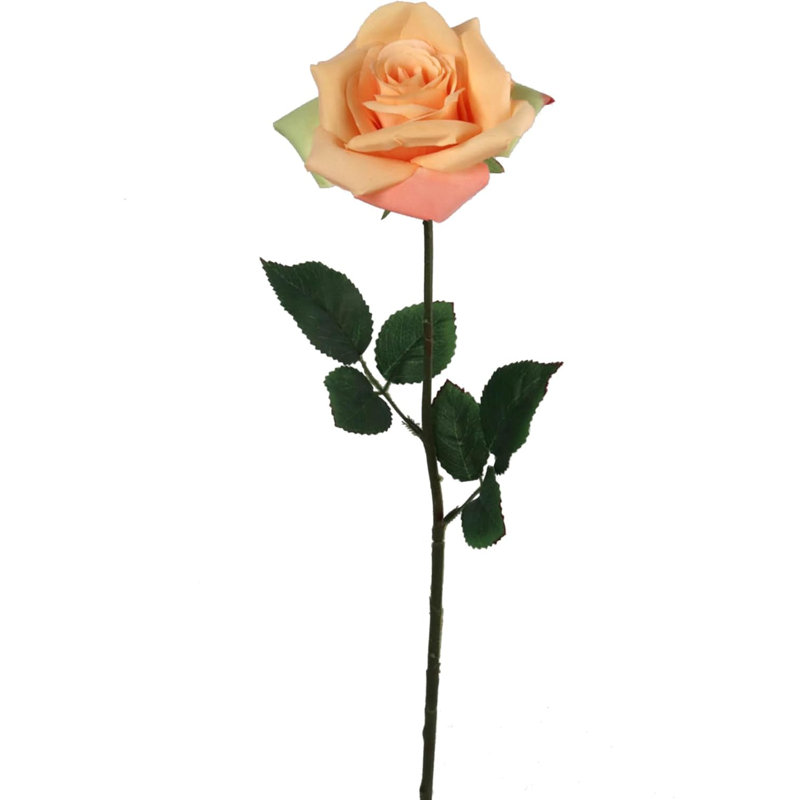 20" Open Rose Stem - 6 Pack