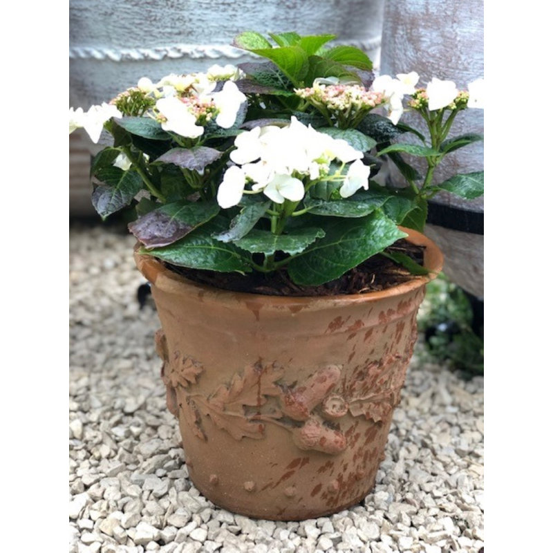 Cremont Handmade Pot Planter, 46cm H x 56cm W x 56cm D
