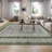 Mcquay Machine Washable Rug Non-Shedding Rug for Living Room Bordered Design Modern Rug Soft Fluffy Pile Throw Rug Indoor Carpet Ultra-Thin Floor Cover for Bedroom Hallway Dining Room Kitchen Office Playroom-723655323