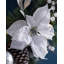 Faux Lighted 76cm Wreath