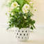Aria Ceramic Planter