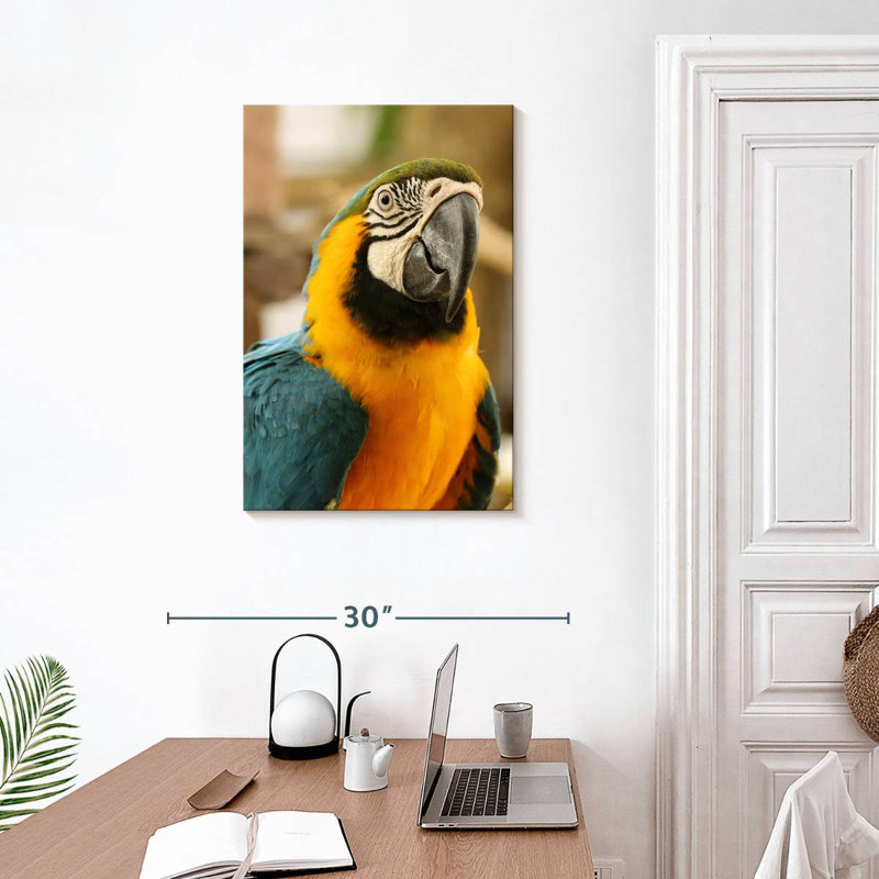 Brampt Exotic Macaw, 30" H x 20" W