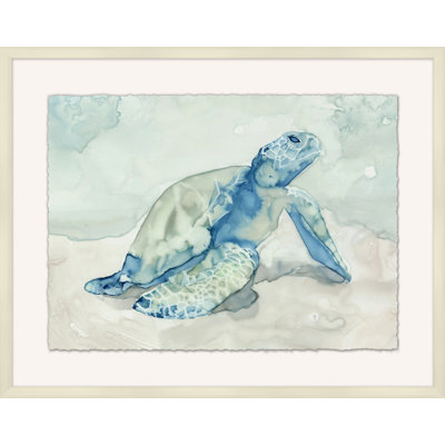 Tortue de mer australienne 1 - Shadowbox, peinture sur papier