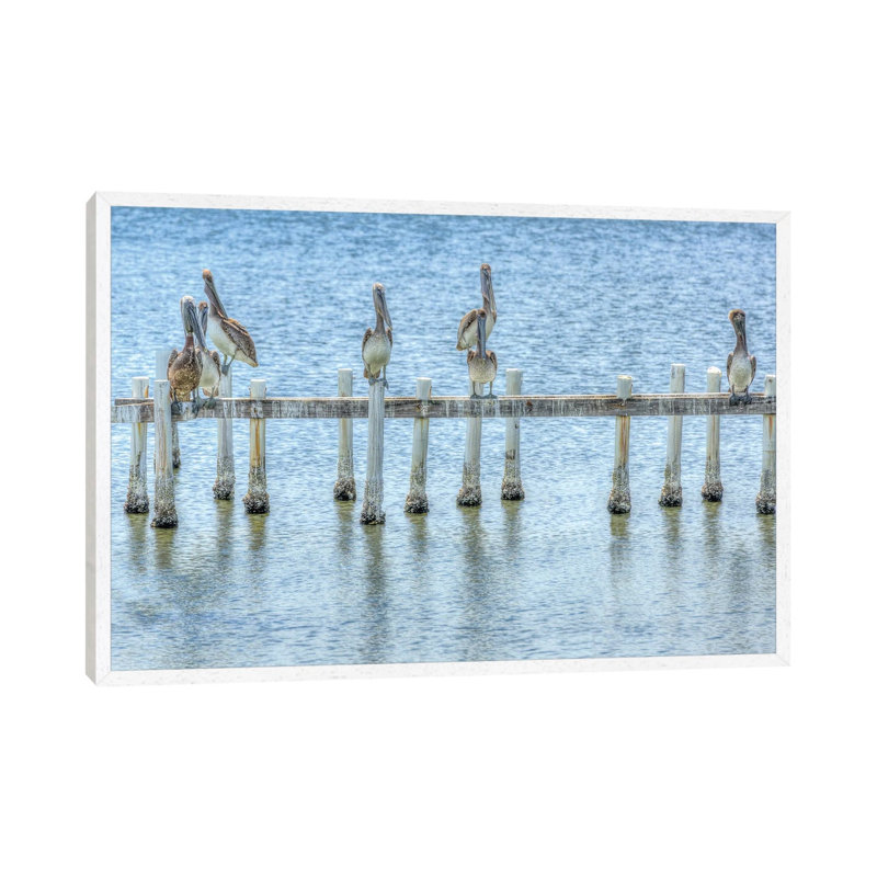 Pelican Pier by Pelican Pier - Print on Canvas, White Framed, 66.04 cm H x 45.72 cm W
