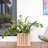 Morry Cube Planter Box