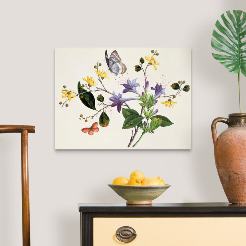 " Flower Study And Insects ", Wrapped Canvas, 18" H x 24" W x 1.25" D