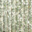 Green Birches Painting-25818029-25818031