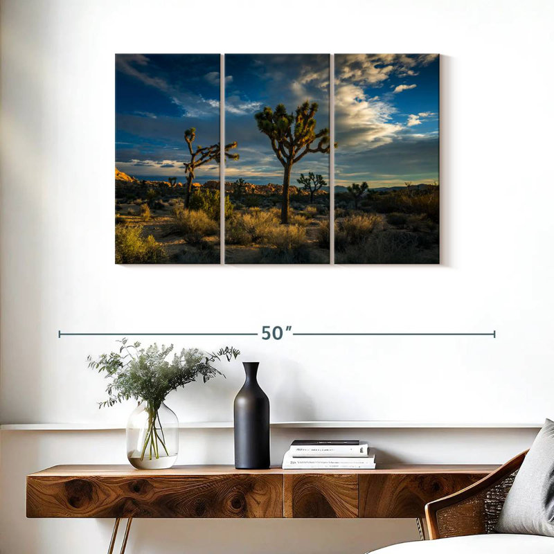 Paysage du parc national Sebbie Joshua Tree, H 24 po x l 38 po