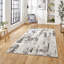 Apollo area rug Machine Woven Rectangle