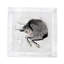 Serviettes de table en satin de coton Zodiac Taurus-122066397