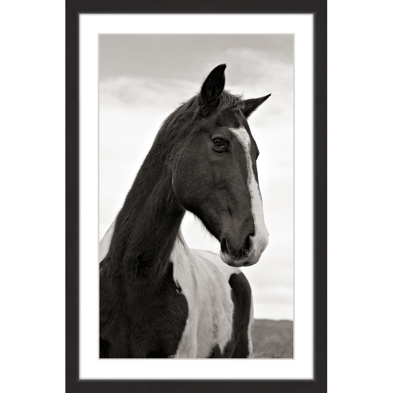 Melanie Snowhite - Single Picture Frame Print, 61cm H x 41cm W x 3.81cm D
