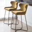 Falls Upholstered and Velvet Bar Stool-1684971895