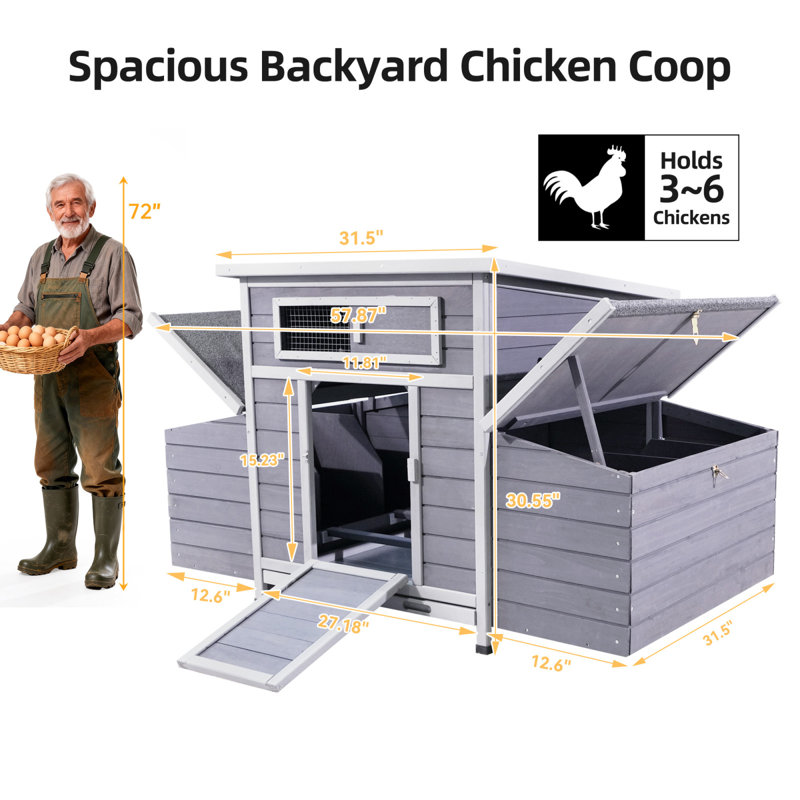 Poulaillers spacieux, grand poulailler en bois de style ferme pour jardin
