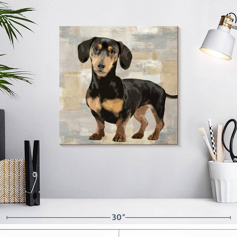 Portrait de teckel Brampt, H 16 po x l 16 po