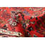 Tapis rouge Anadol 2 pi 7 po x 9 pi 4 po