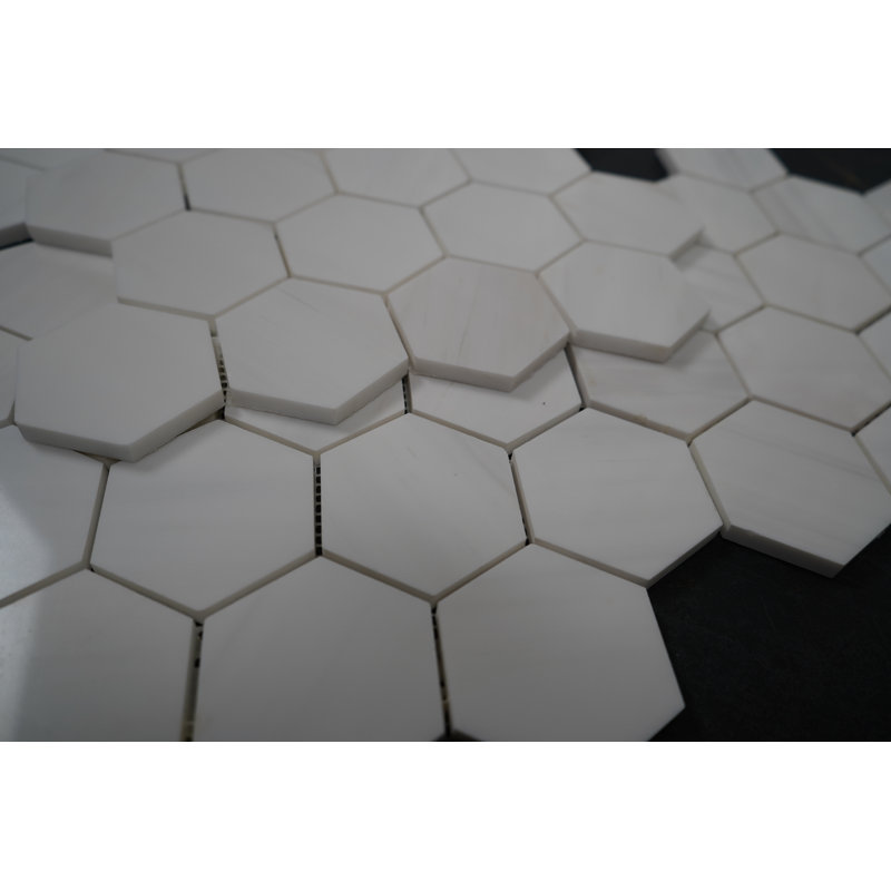 Hexagone brillant 3 po Bianco dolomite