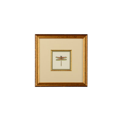 Miniature Dragonfly III Print