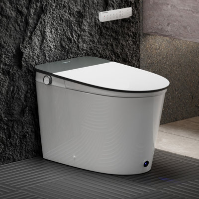 Smart Toilet with Auto Open/Flush, Remote Control