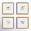 Perching Bird Set