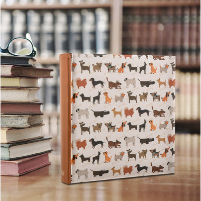 Paper Animals Album