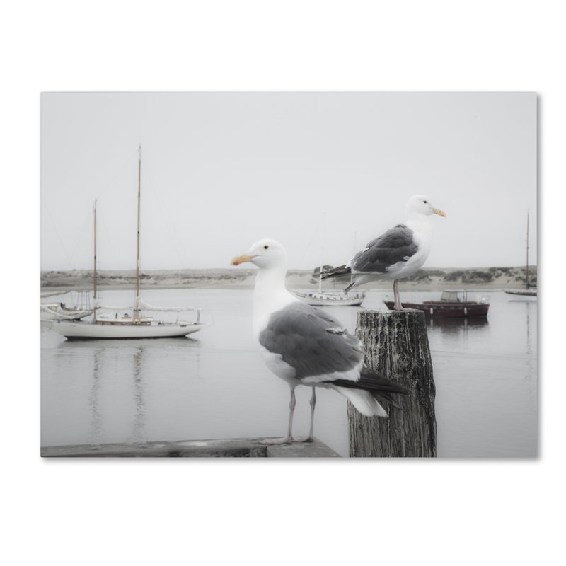 Moises Levy - Print on Canvas, 24" H x 32" W x 2" D