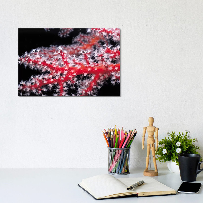Red Gorgonian Coral by Unknown Artist - Wrapped Canvas Print, 20.32 cm H x 30.48 cm W