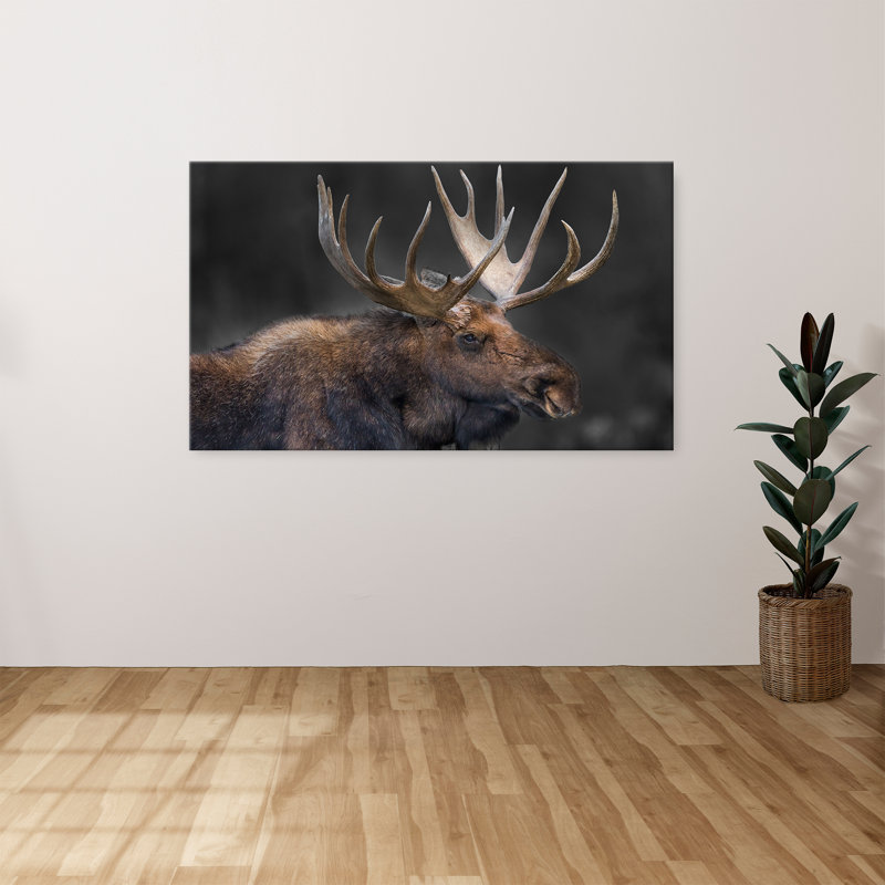 "Portrait d'orignal" par Danita Delimont, reproduction sur toile, H 24 po x l 40 po x P 1,5 po