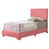 Rose n'est pas disponible