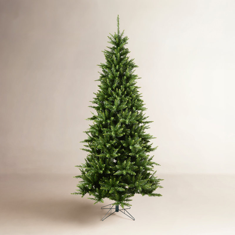 Sapin de Noël, 12 pi