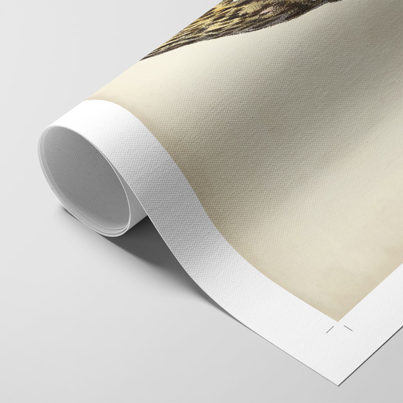 Hiboux français II - impression sur toile seulement - non encadrée, H 60 po x l 40 po