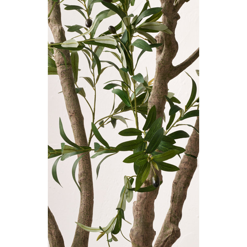 250cm Faux Tree in Cement Pot