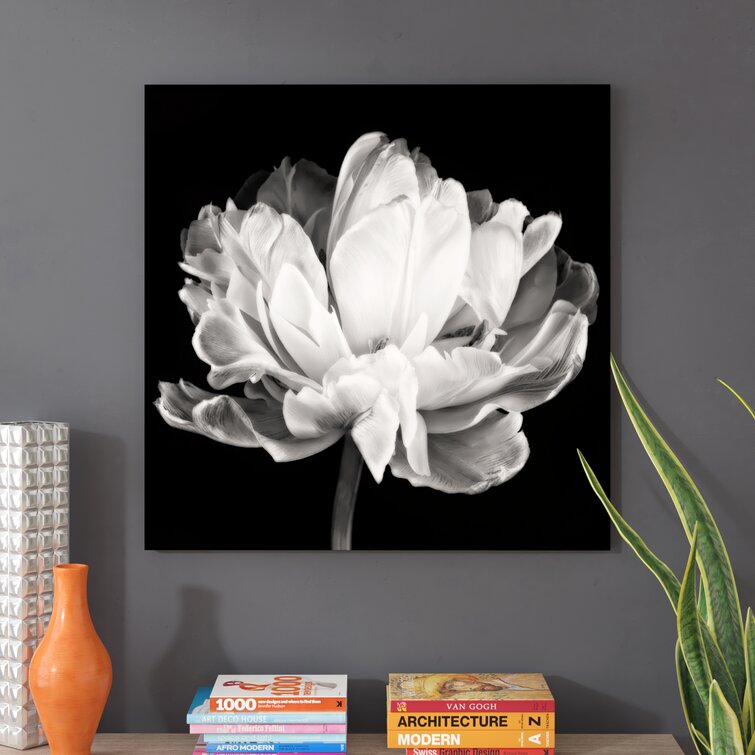 Tulipa Double Black White by Cora Niele - Photograph Print on Canvas