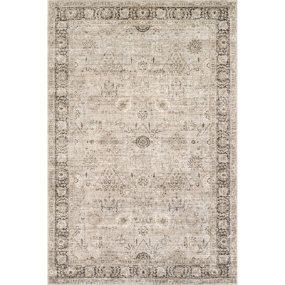  Bayberry Vintage Machine Washable Beige/Brown Area Rug