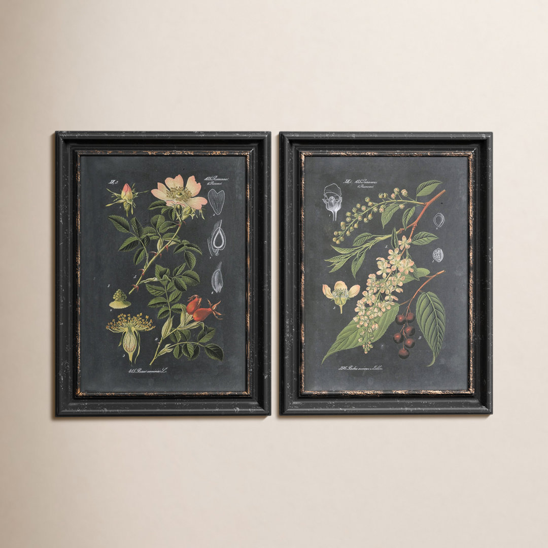 Bergenfield " Midnight Botanicals " by Vision Studio 2 - Pieces Birch Lane™