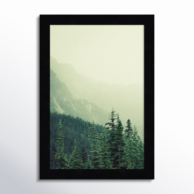 Rocky Mountain Trees 7 Photo Print