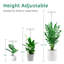 Ivy Bronx Grow Light