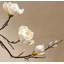 Fleurs, vases, décorations simulés-111313357