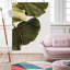 "Abutifolia No1" par Shot