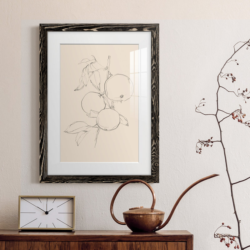 Fruit Contour Study I Premium encadré mat - prêt à être suspendu, H 24 po x l 20 po x P 1 po, Cadre noir