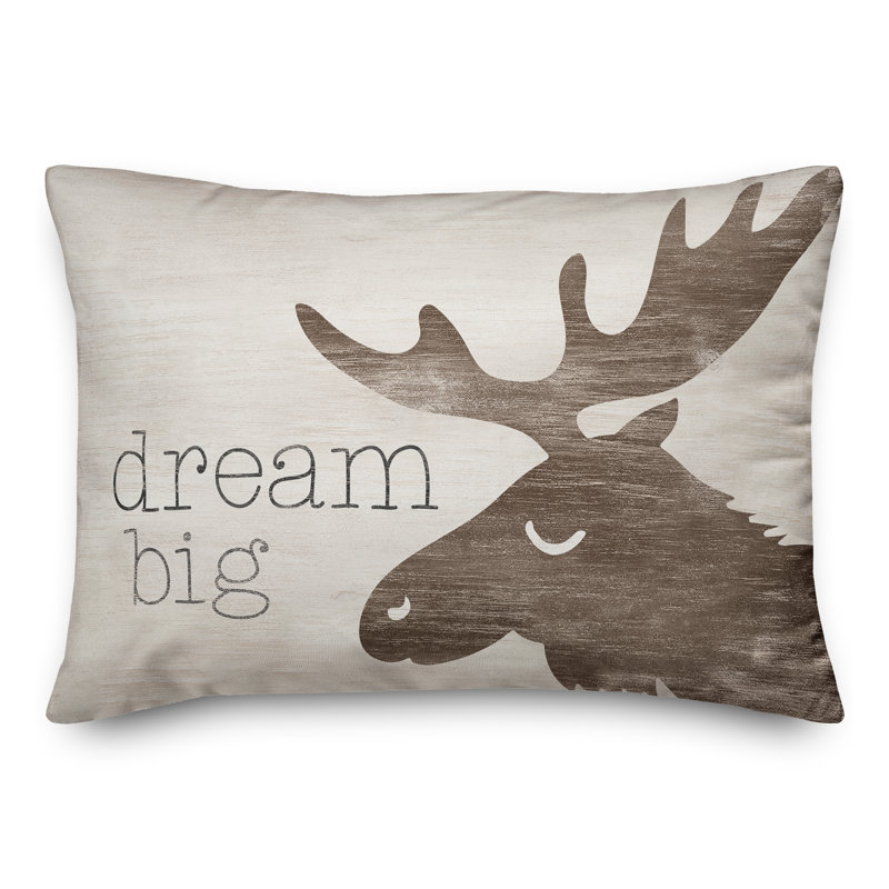Dream Big Indoor / Outdoor Pillow
