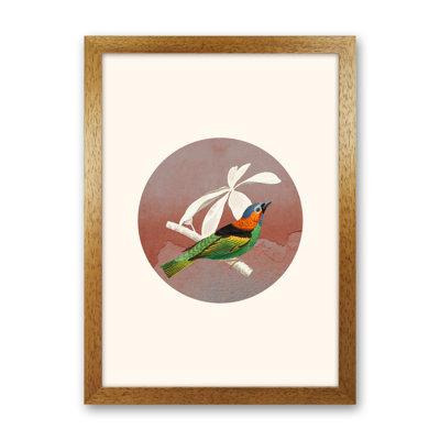 Bird Collage II 1 Piece Wall Art