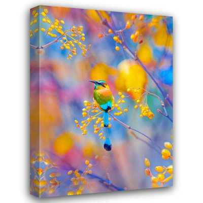 Art sur toile tendue Ivy Bronx Love Grams Gallery: Rainbow Motmot