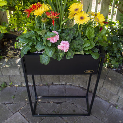 Jardin surélevé 2 pi x 1 pi Anzalone