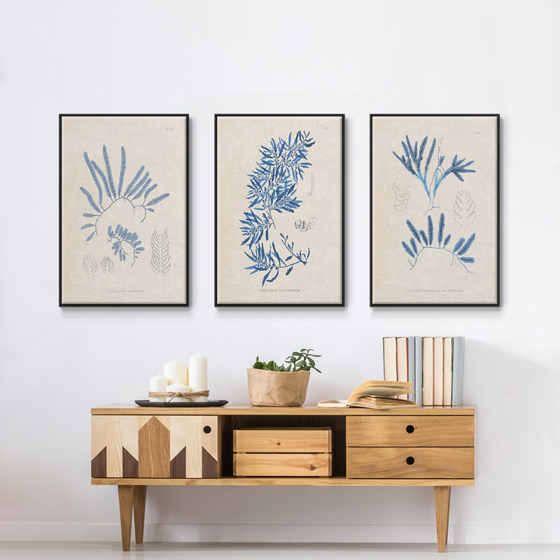 Blue Marine Algae I - Ensemble de 3 reproductions encadrées sur toile, Cadre noir, H 36 po x l 72 po x P 2 po