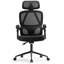 Fauteuil de bureau ergonomique avec support lombaire Erin