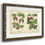 Cuisine fruits III-285017812-285017813
